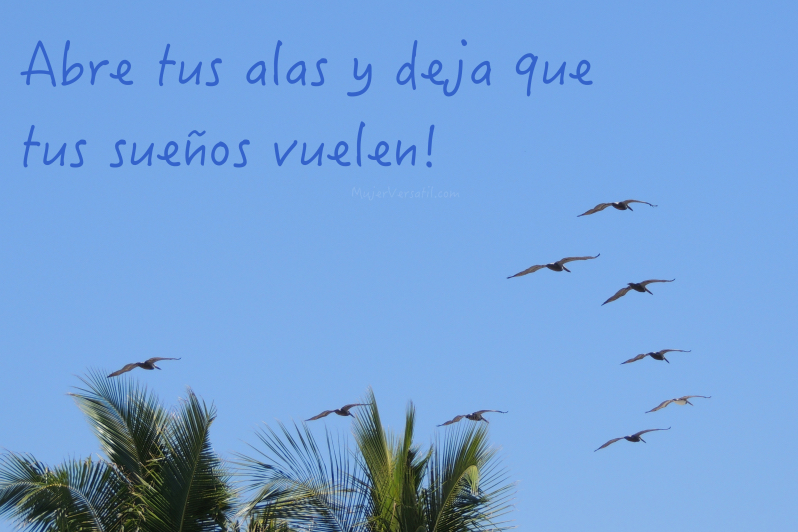 #CRVSueños