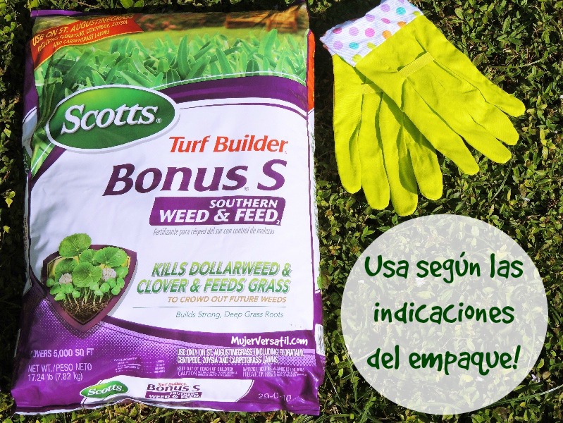 #LoveYourLawn