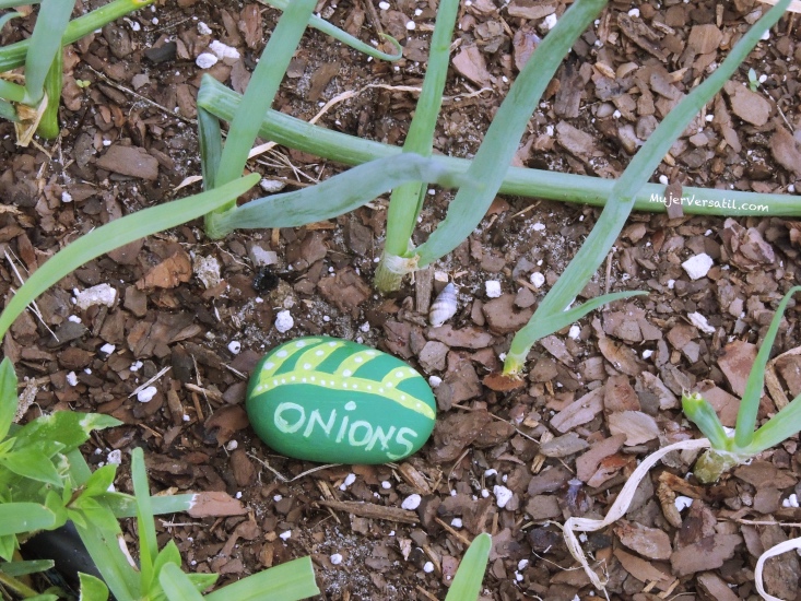 Piedras para la Huerta